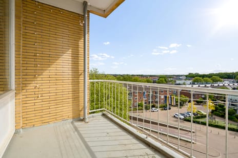 Willem Bontekoestraat thumbnail