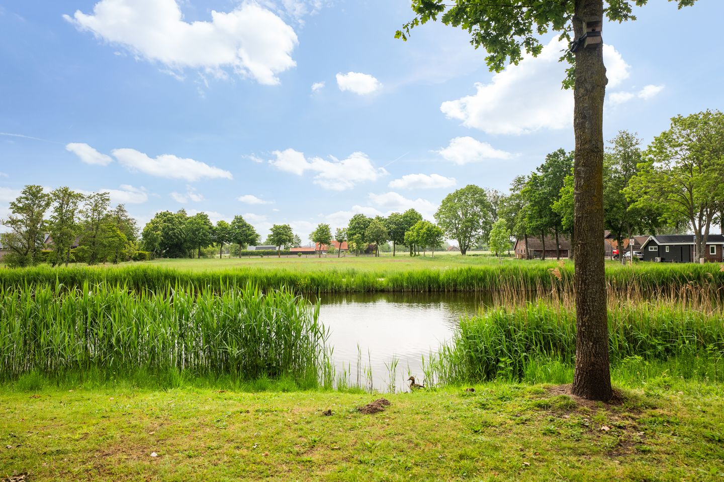 Foto 49 van Spakenburgkade 43