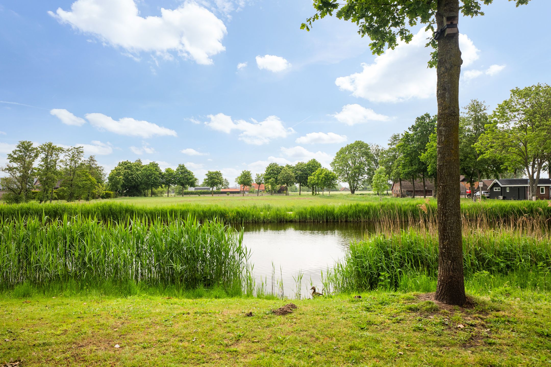 Spakenburgkade 43 