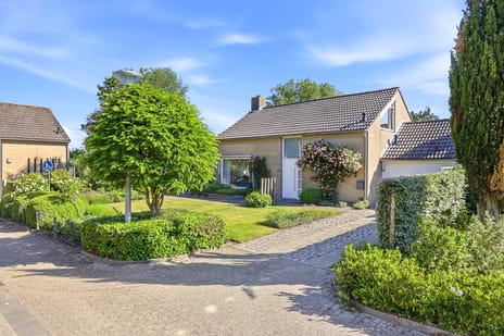 Dongestraat thumbnail