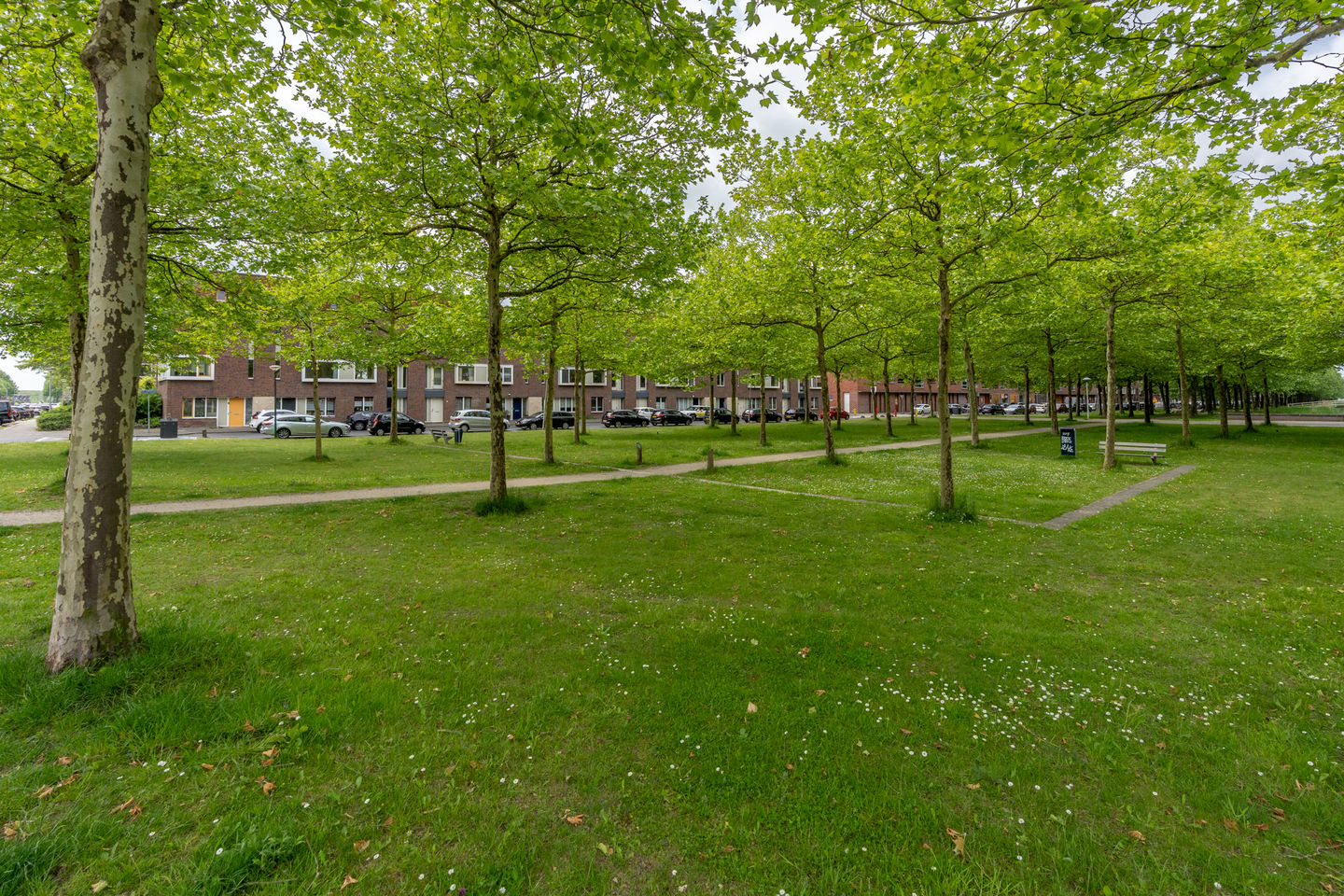 Photo 55 of St.-Pietersberg 1