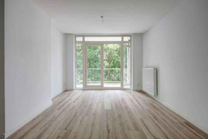 Foto 2 van Schieweg 100-C02