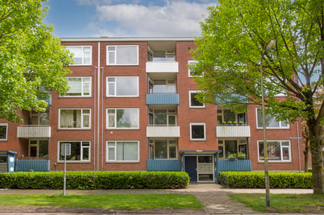 Grote Beerstraat thumbnail