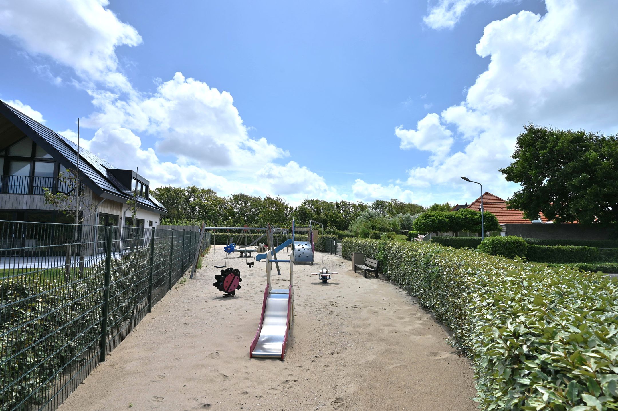 Foto 42 van Zilvermeeuw 50