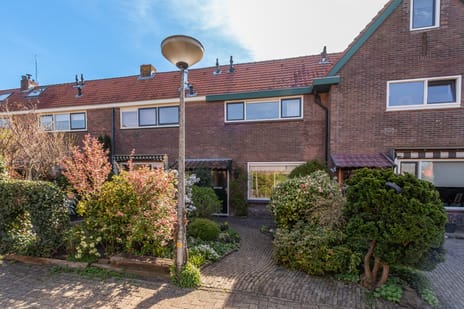 B. van Rooijenstraat thumbnail