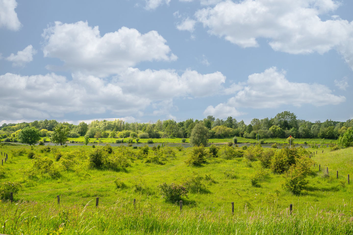 Photo 34 of Watermunt 91