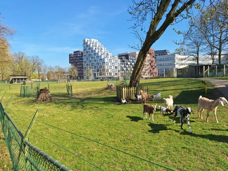 Eiffelstraat thumbnail