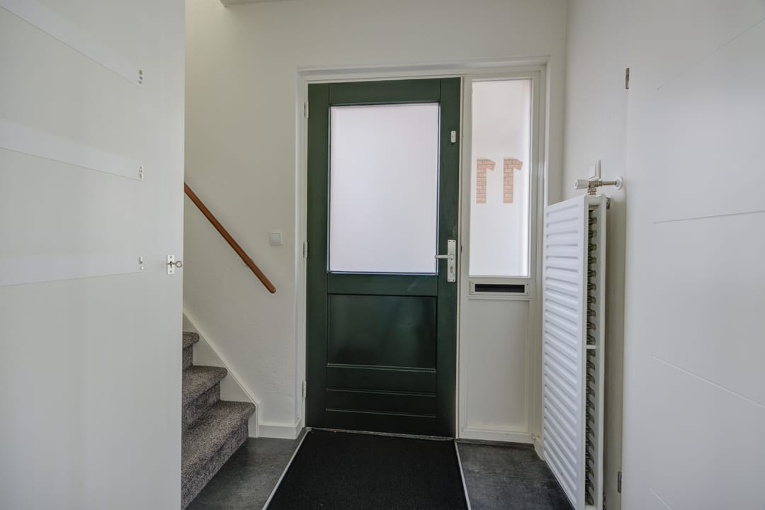 Foto 7 van Vlaamse Gaai 11