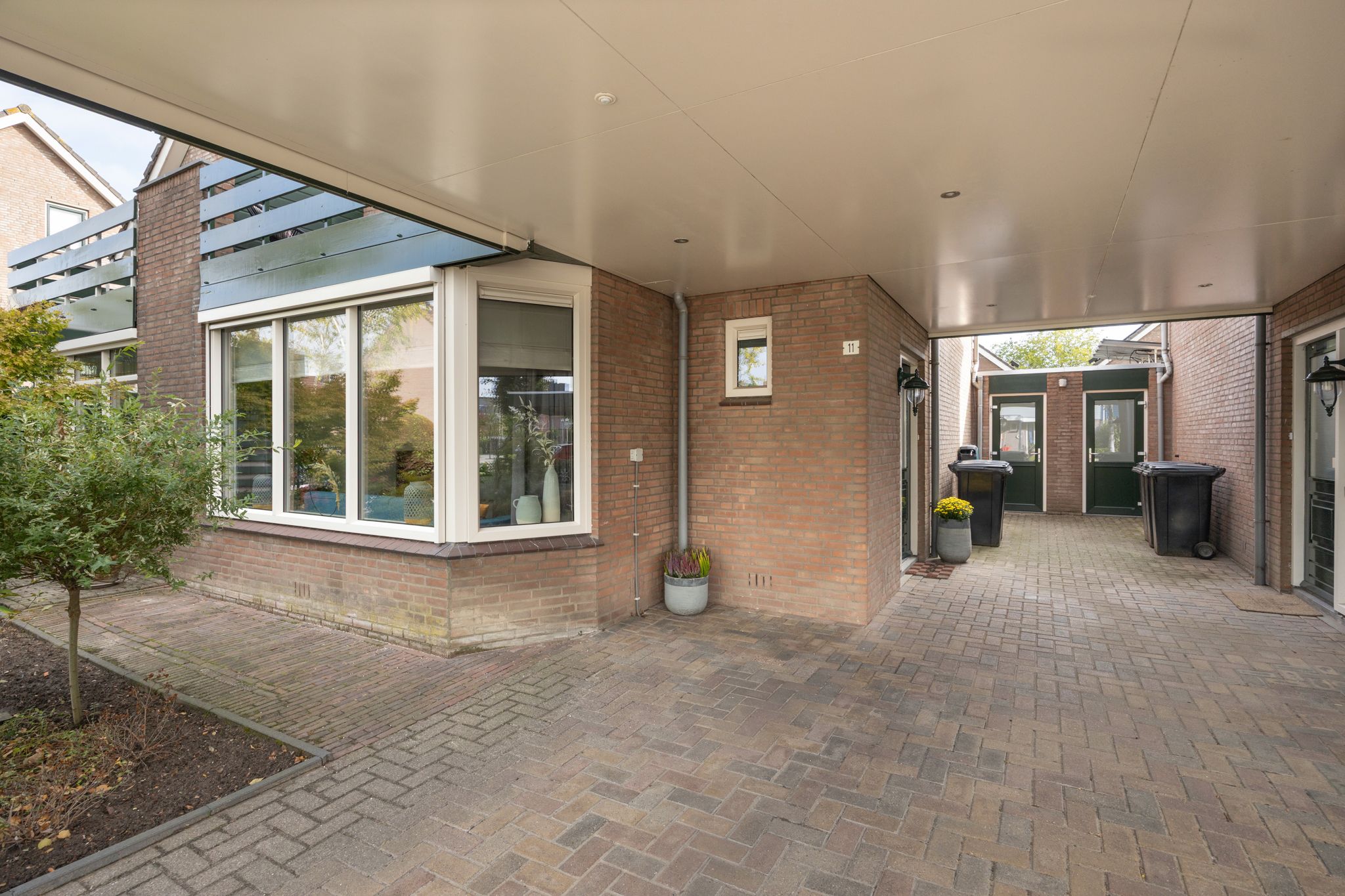 Foto 6 van Vlaamse Gaai 11