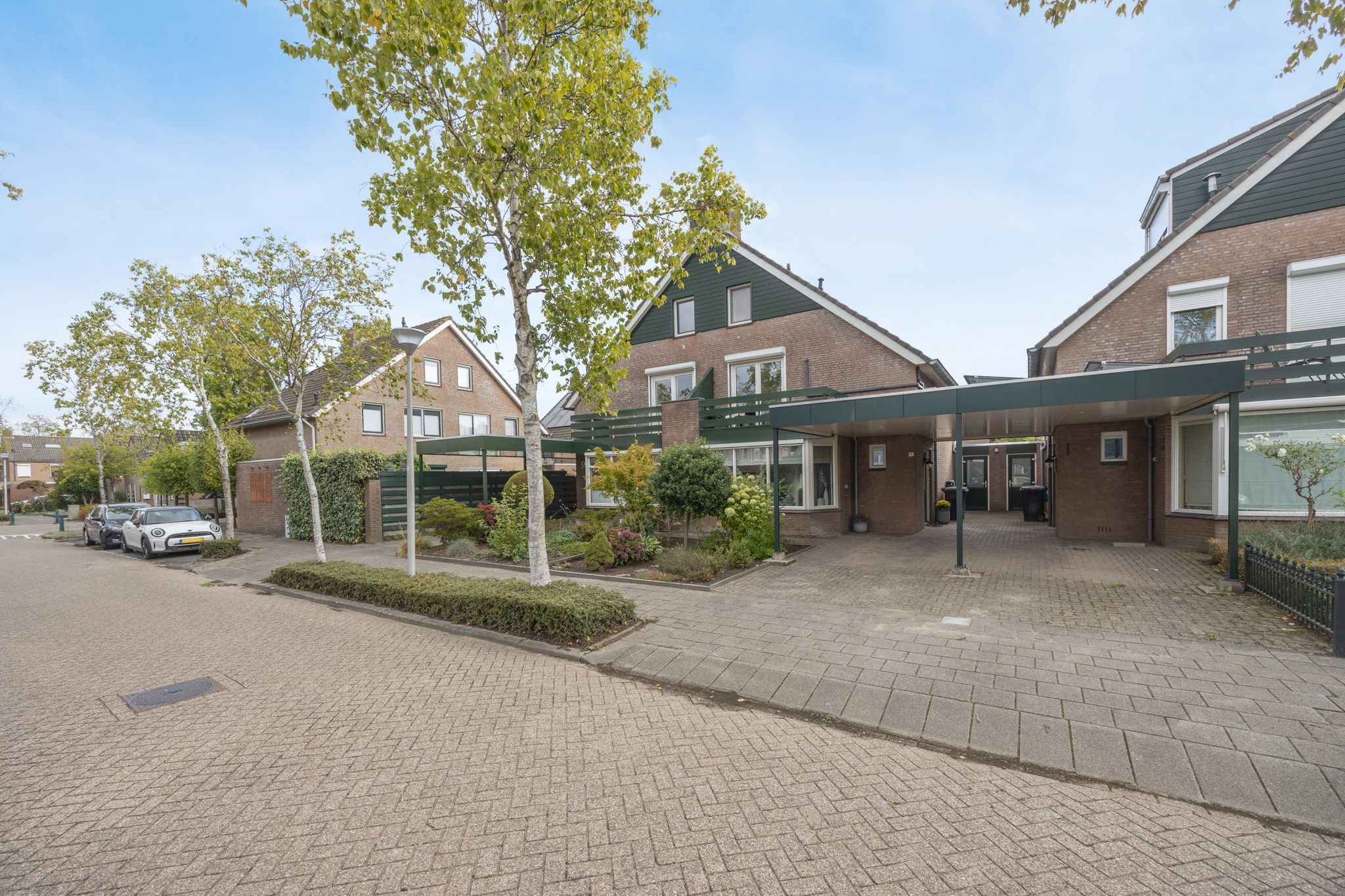 Foto 45 van Vlaamse Gaai 11