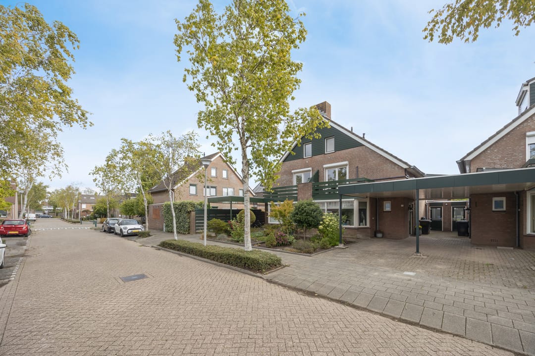 Foto 46 van Vlaamse Gaai 11
