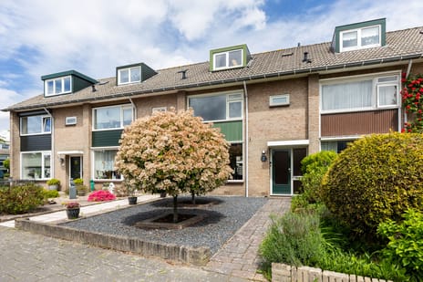 Pascalstraat thumbnail