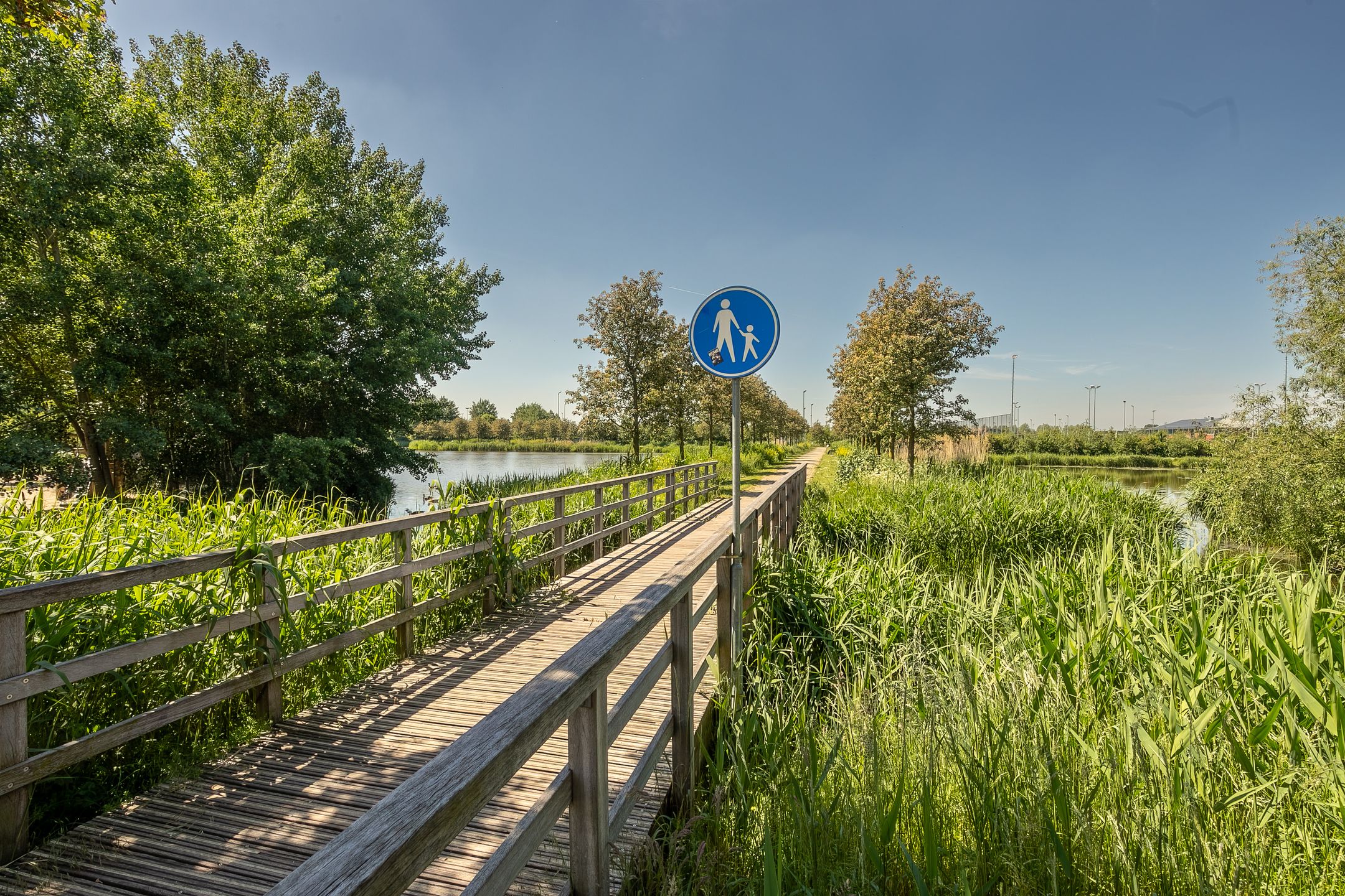 Foto 42 van Sneekermeerplantsoen 6
