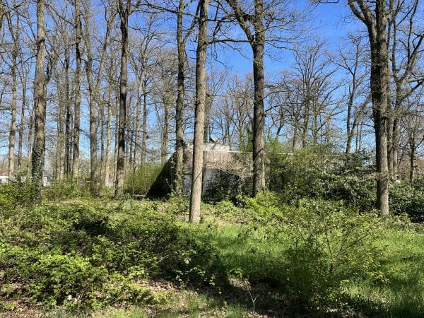 Bekijk foto 3 van Beukenlaan 4