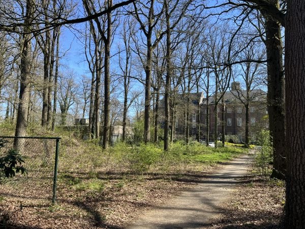 Bekijk foto 2 van Beukenlaan 4