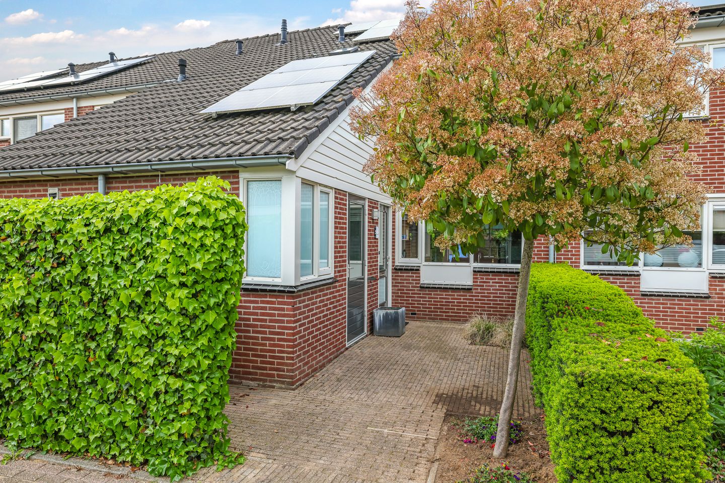 Foto 5 van Wiersse 14