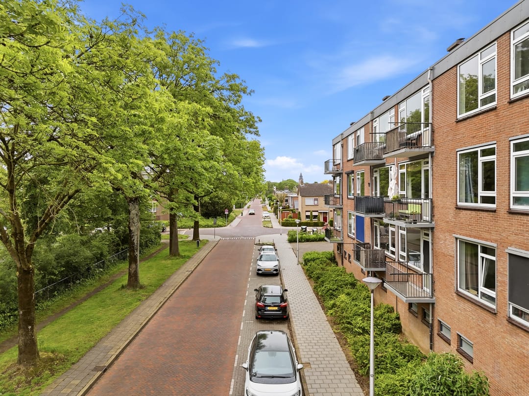 Photo 26 of Paulus Potterstraat 119