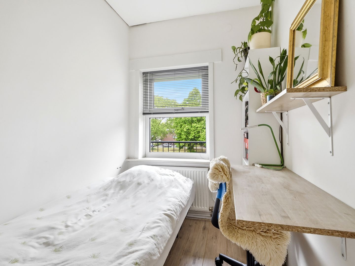 Photo 19 of Paulus Potterstraat 119