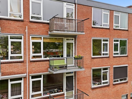 Paulus Potterstraat thumbnail