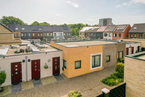 Koningslinde thumbnail