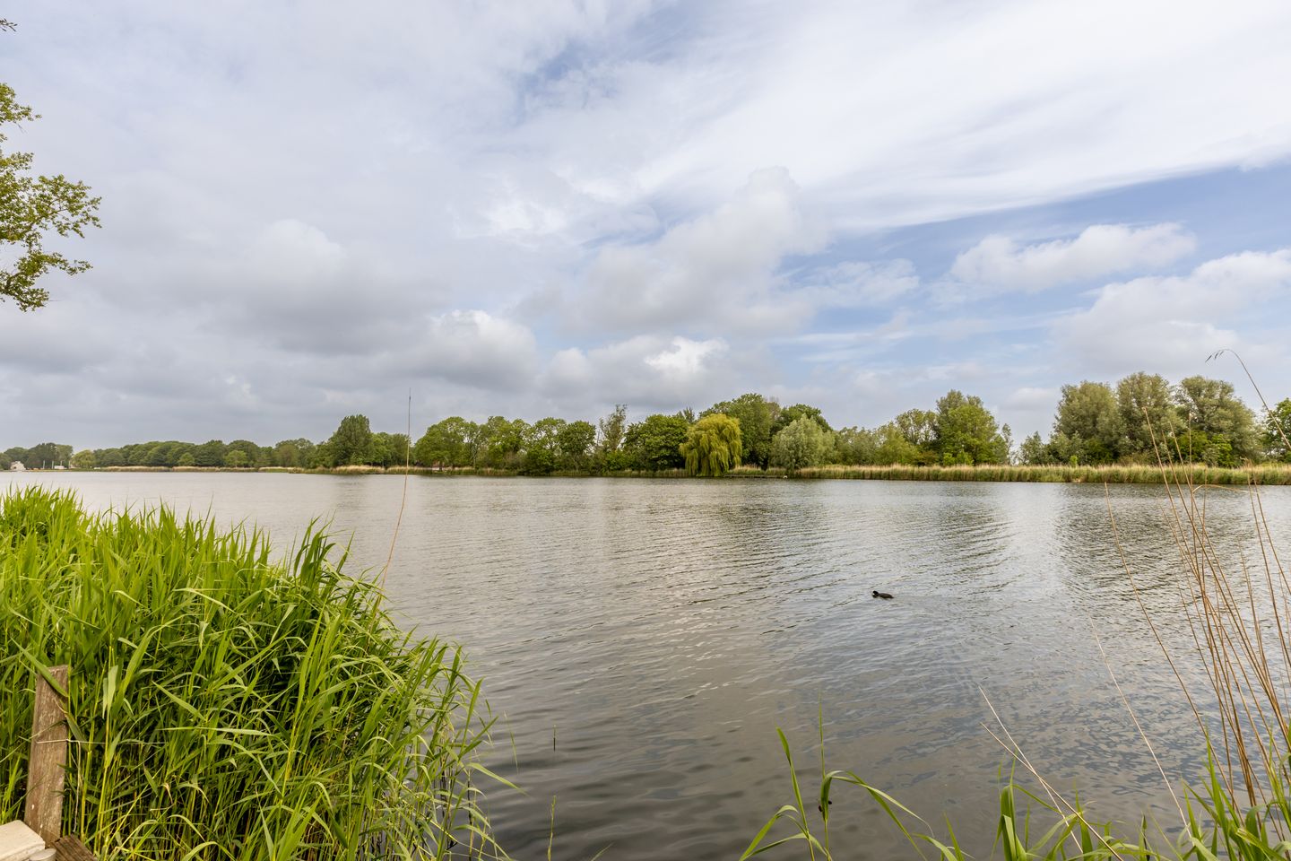 Photo 4 of Polderdijk 20