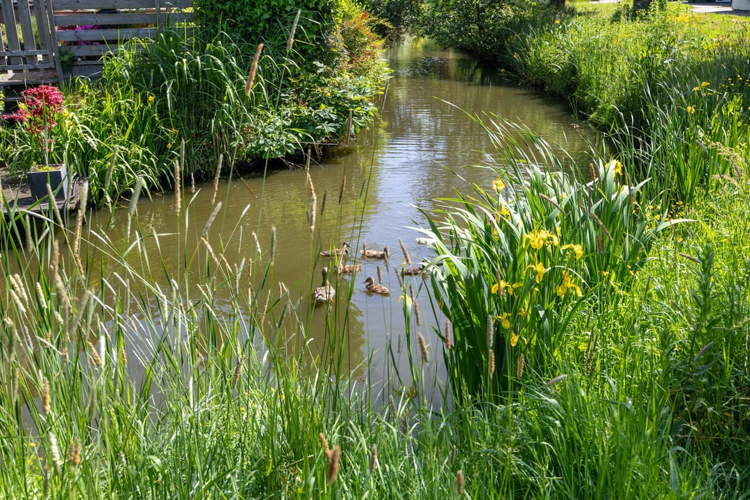 Foto 43 van De Koperwiek 22
