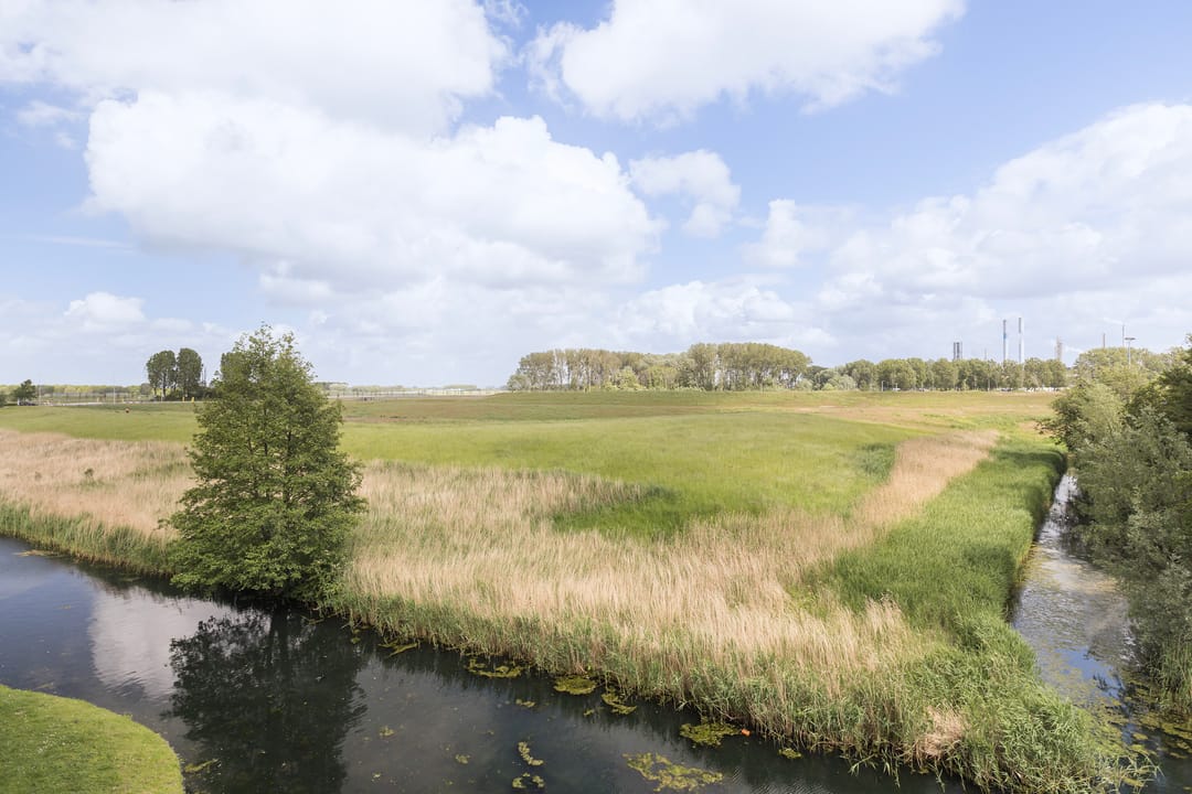Foto 43 van Iependaal 17