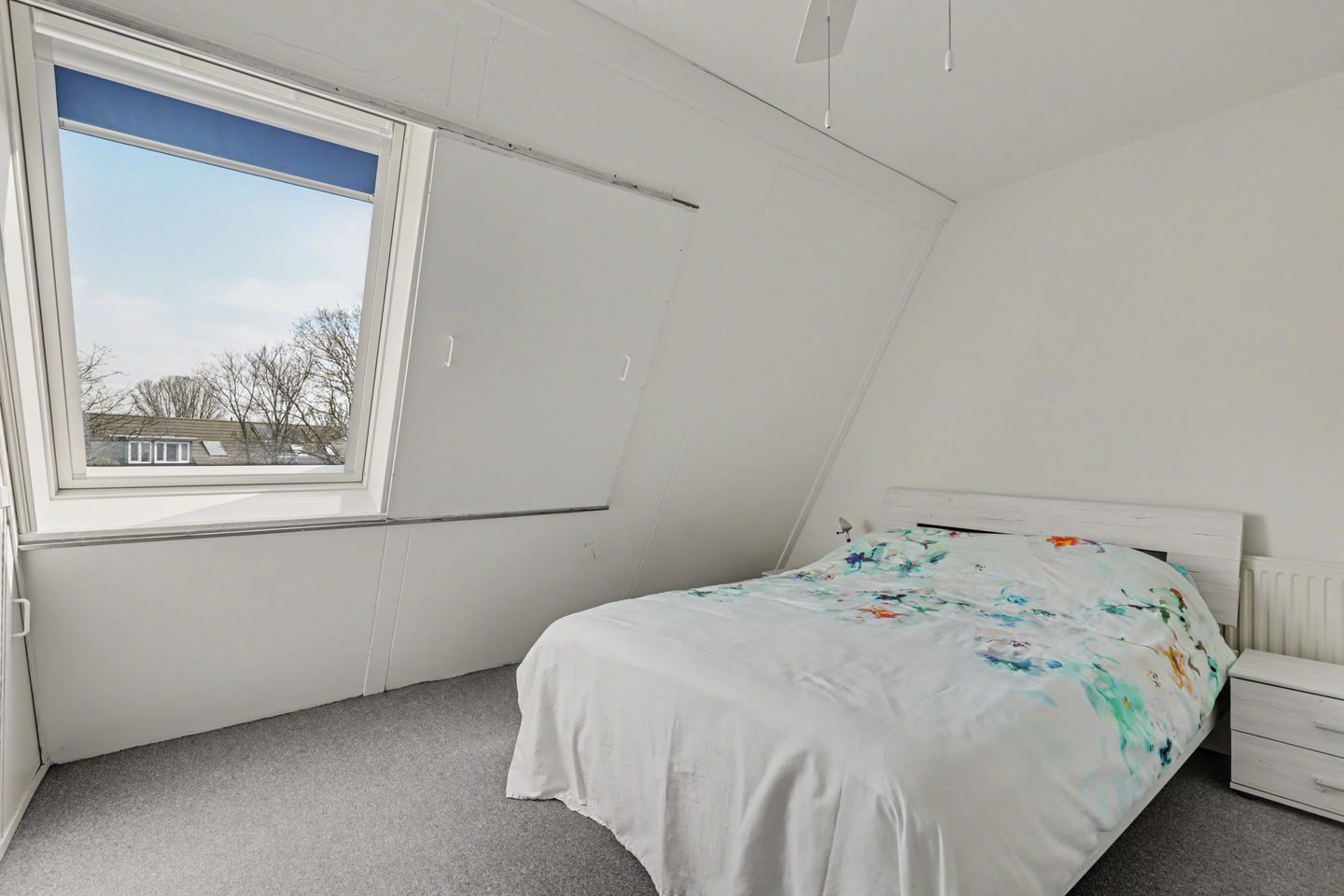 Photo 20 of van Scorel 9