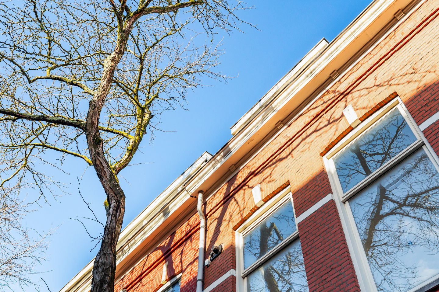 Foto 40 van President Steinstraat 1-B