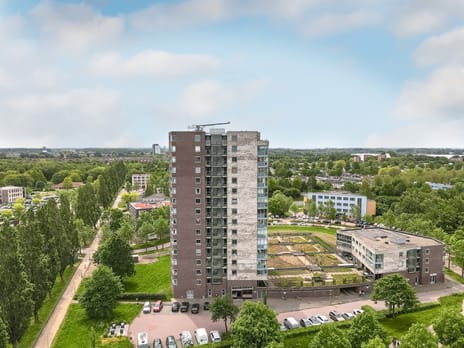 Boomgaardweg thumbnail