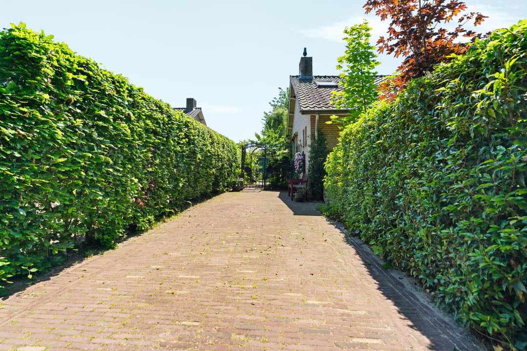 Photo 7 of Johannes Vermeerstraat 6