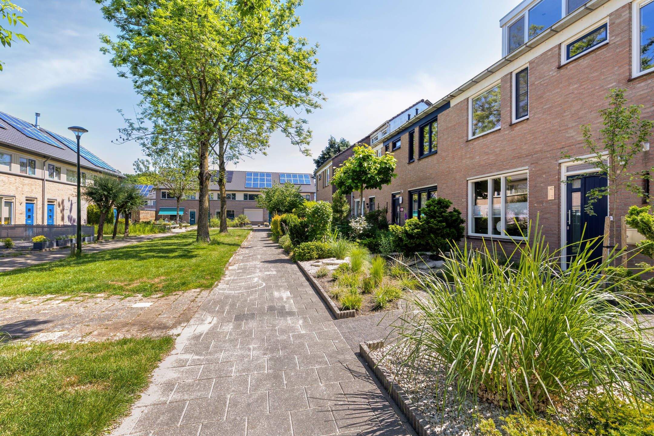 Foto 45 van Albinonistraat 47