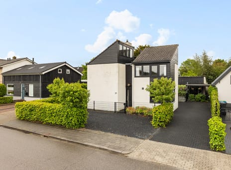 van Pallandtlaan thumbnail