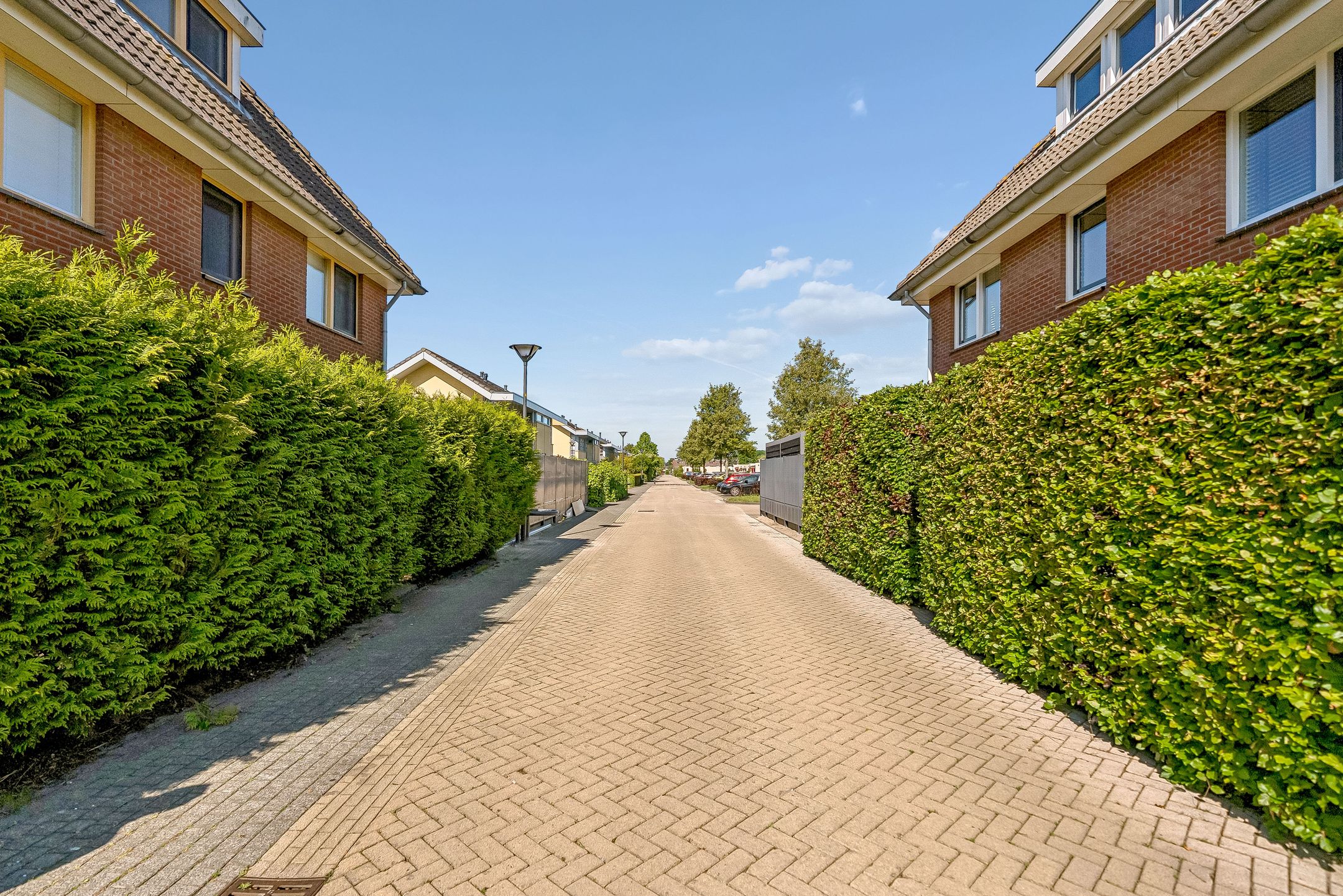 Foto 45 van Duinbeek 128
