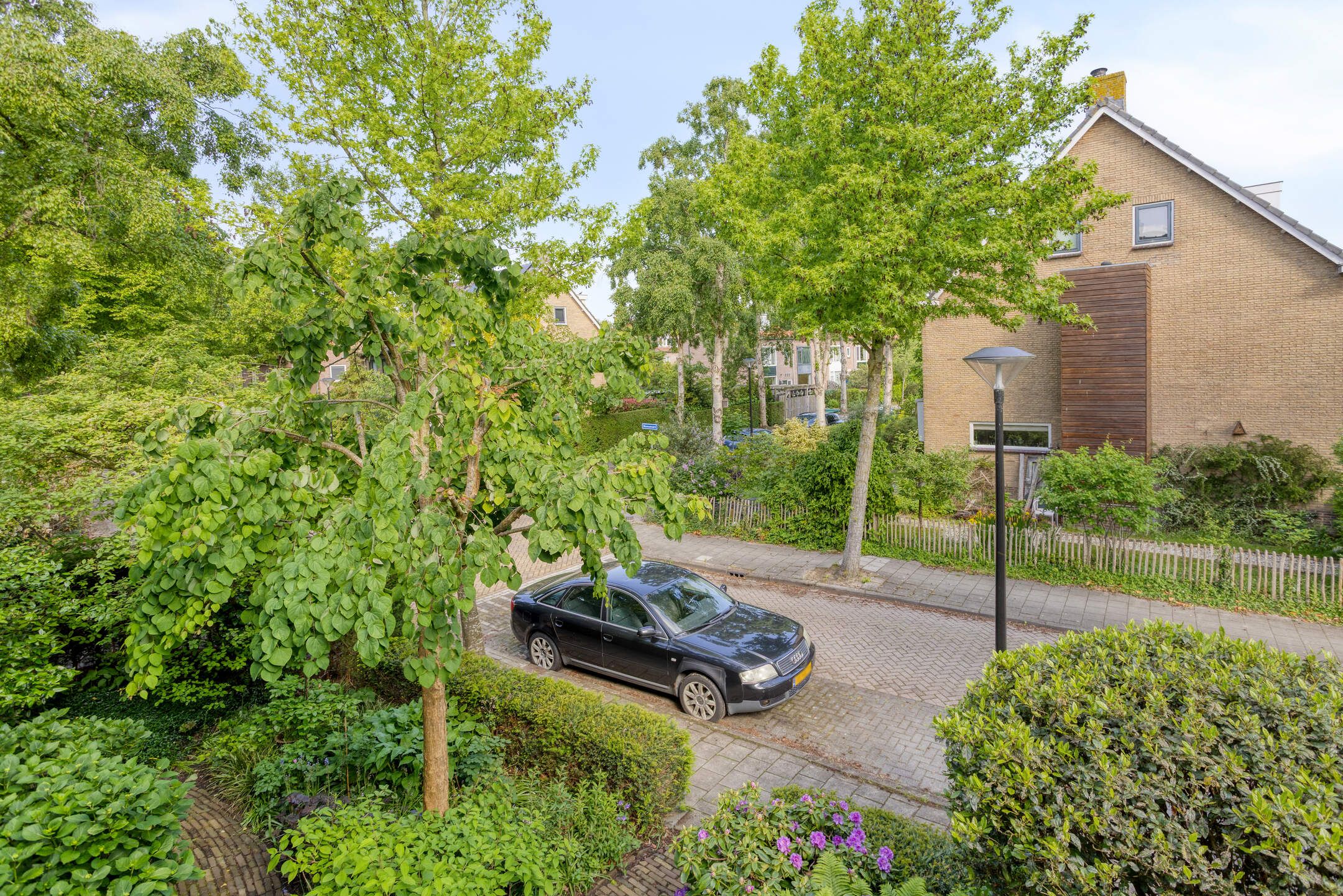 Foto 21 van Blomswaard 21