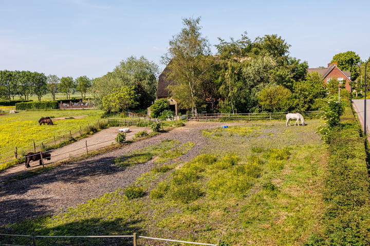 Foto 4 van Zelksestraat 2