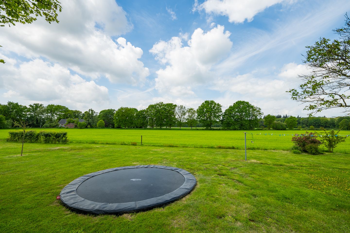 Photo 65 of Vriezelaar 6