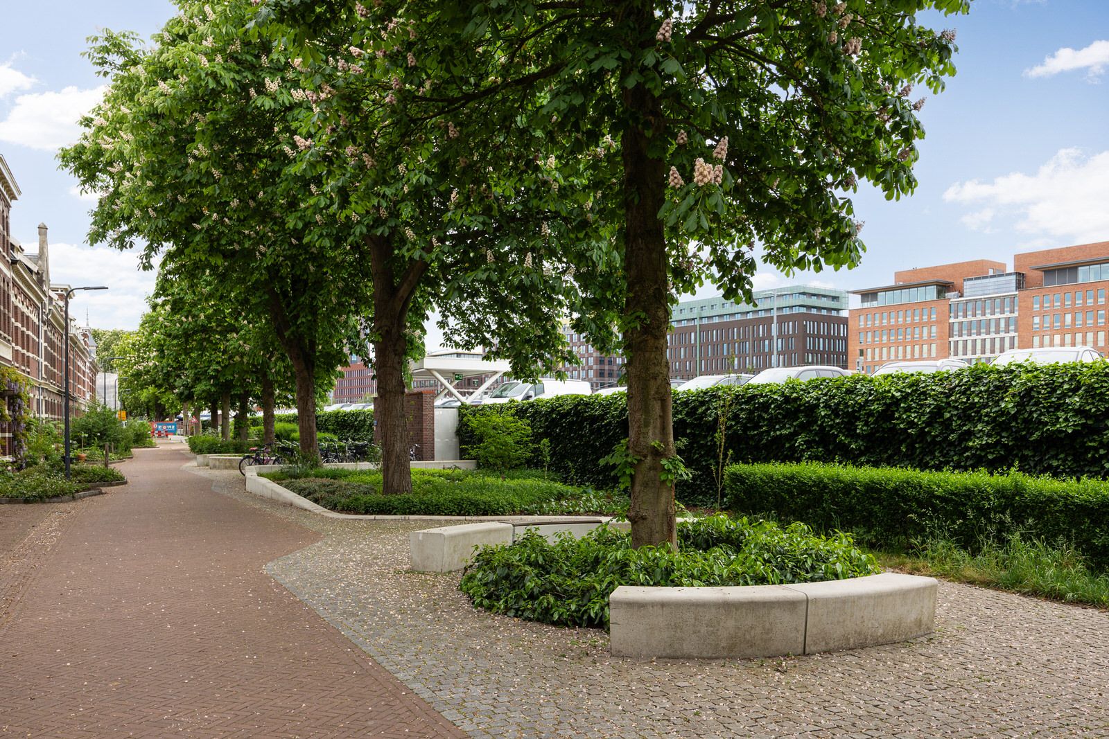 Foto 42 van Maijweg 1-B