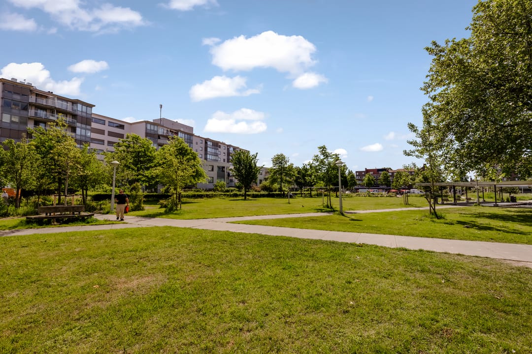 Photo 13 of Bos en Lommerplantsoen 9-A
