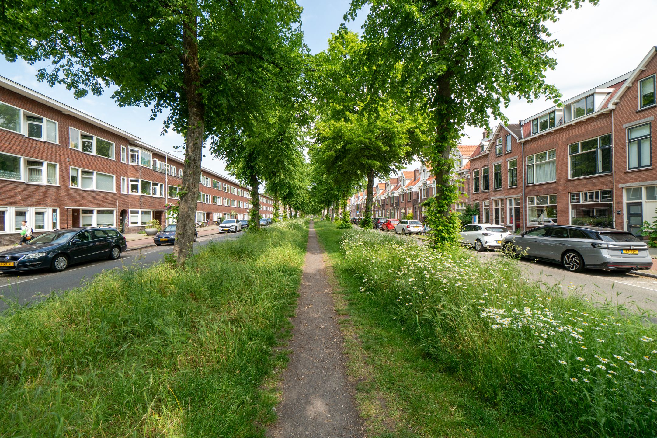 Photo 27 of Coornhertstraat 24