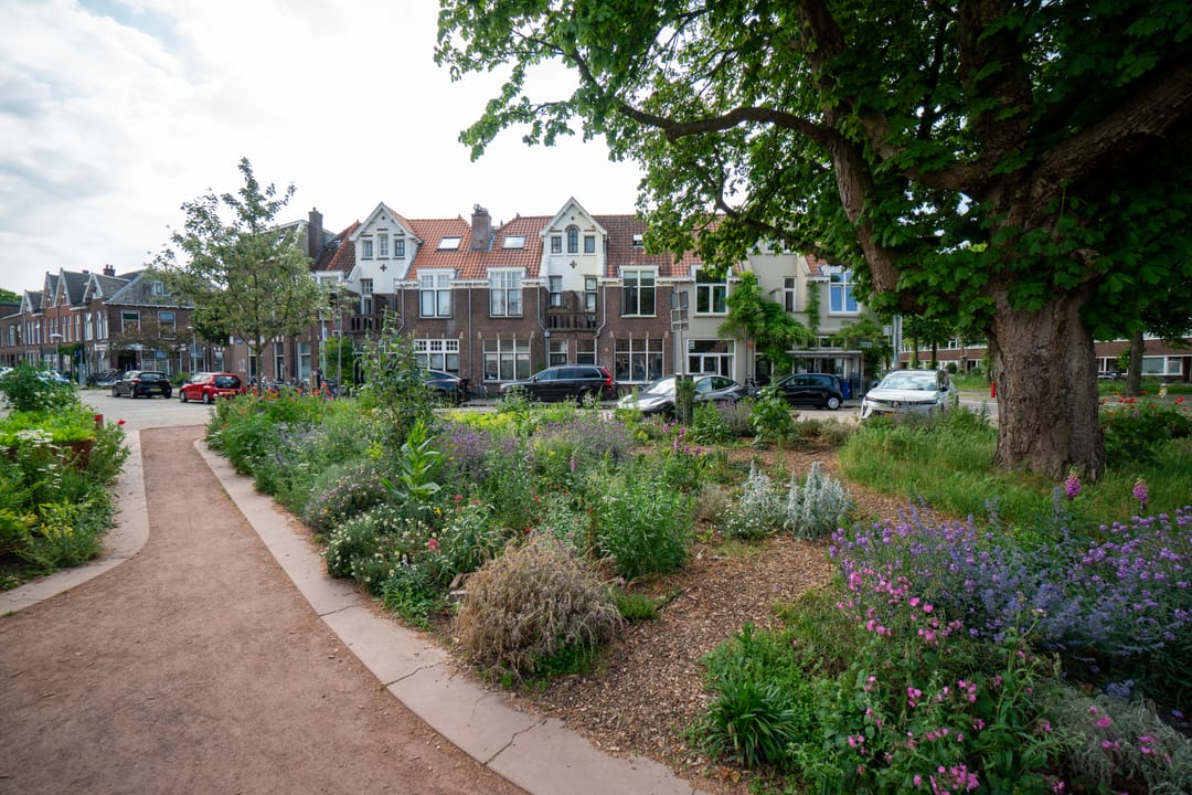 Photo 28 of Coornhertstraat 24