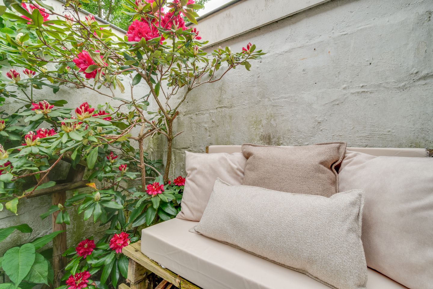 Photo 19 of Coornhertstraat 24