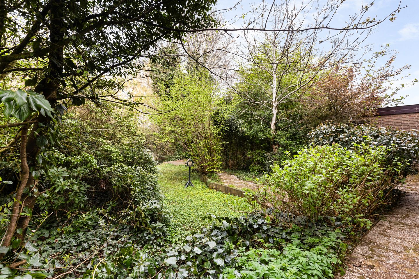 Photo 44 of Voorwillenseweg 177