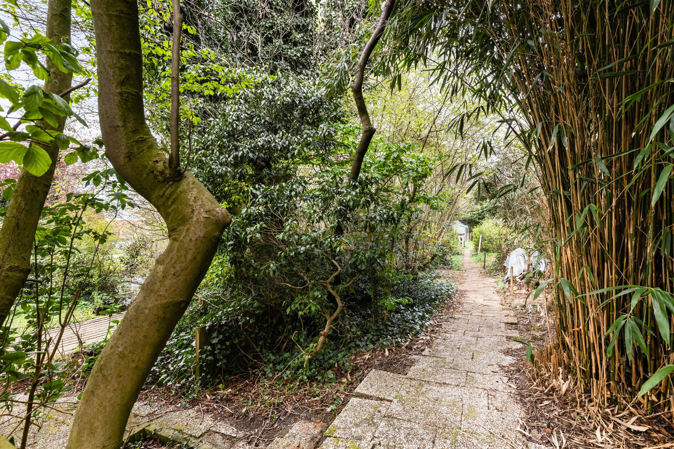 Photo 45 of Voorwillenseweg 177