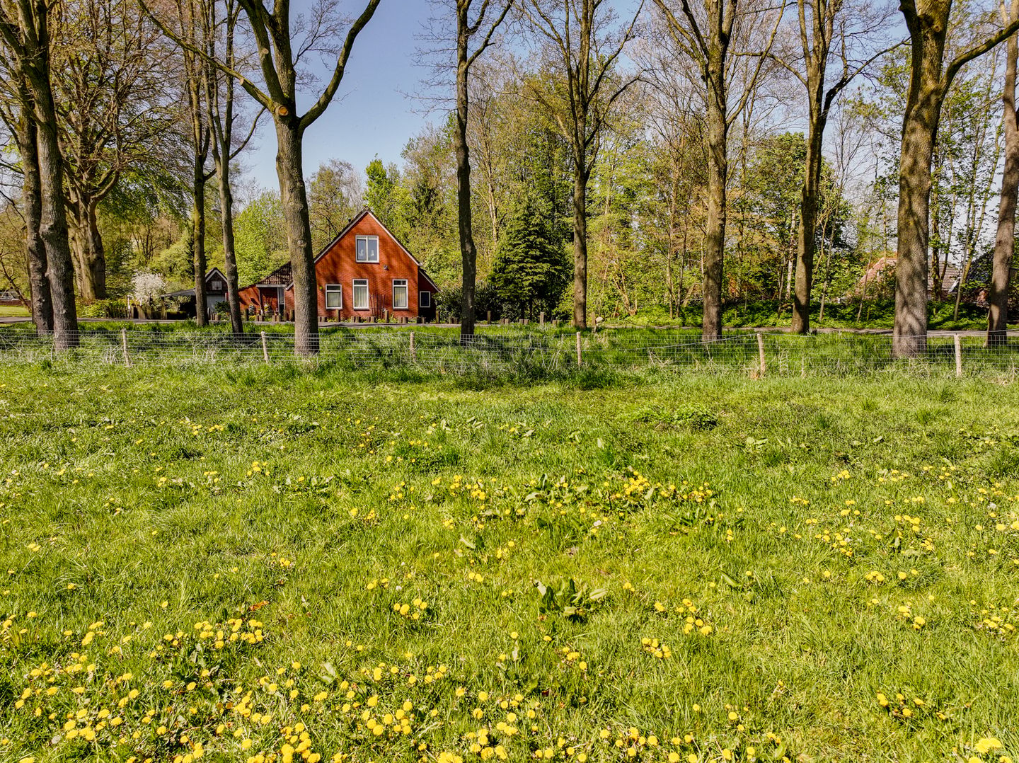 Foto 50 van Sappemeersterweg 25