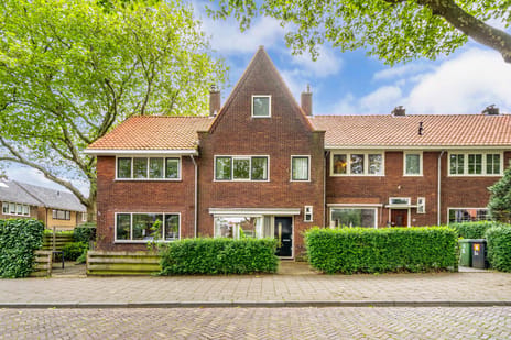 Burgemeester Ter Laanstraat thumbnail