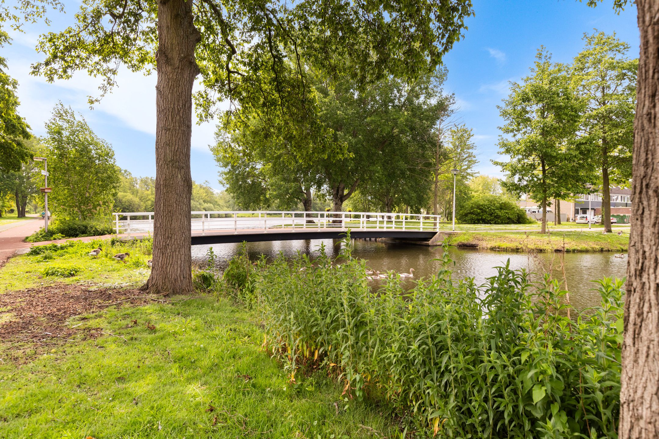 Foto 33 van Landszoom 35