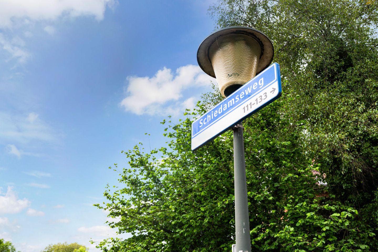 Photo 4 of Schiedamseweg 114