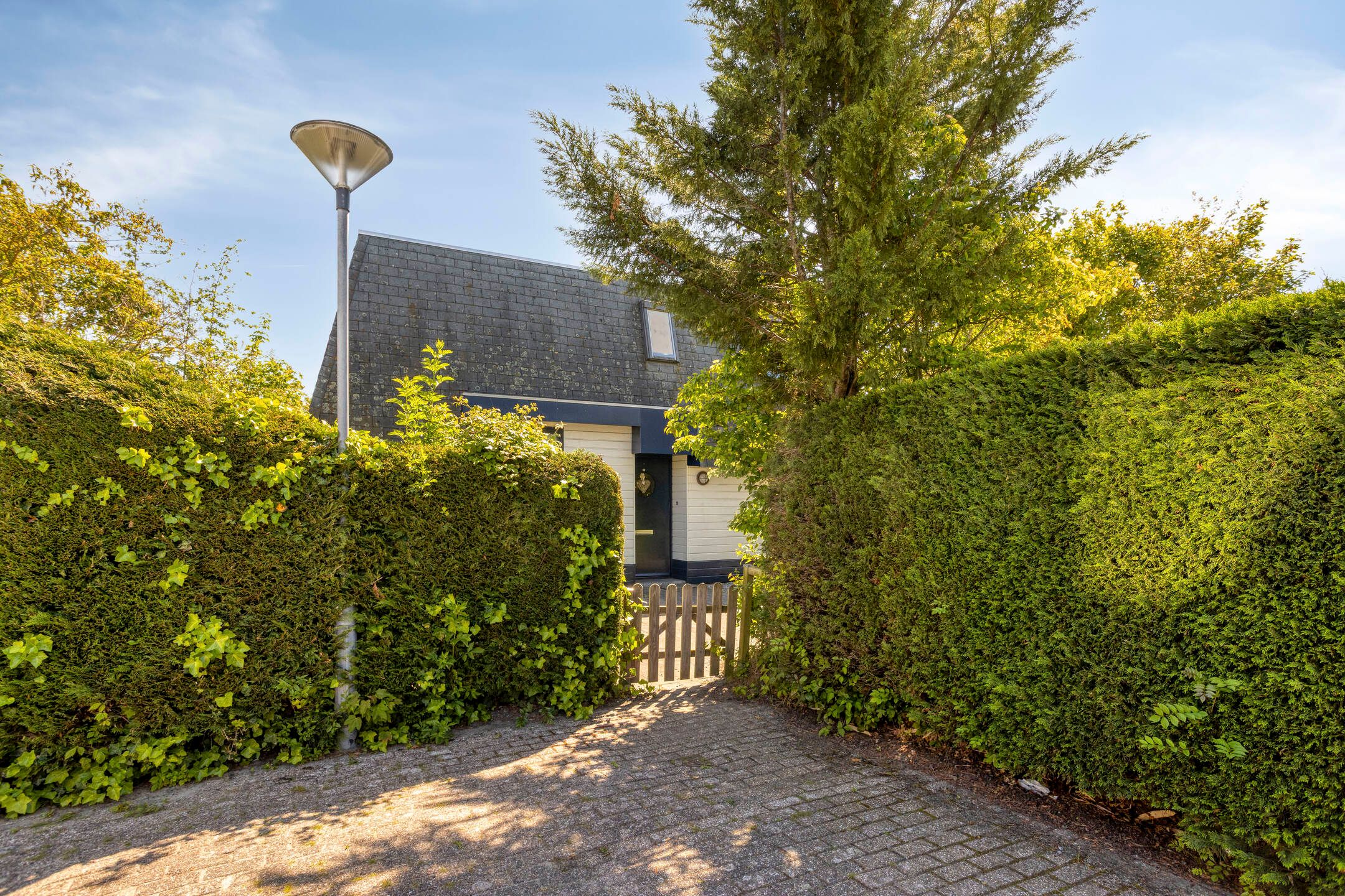Photo 30 of Schoneveld 11
