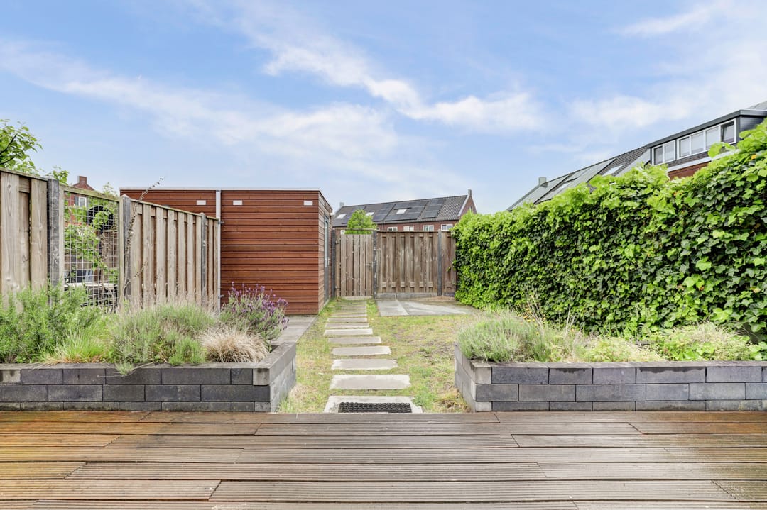 Foto 23 van Boomkruiperzoom 2
